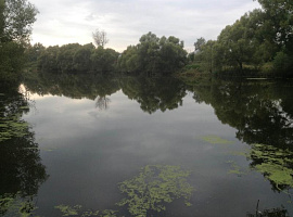 Коттеджный посёлок «Ширяевские Усадьбы»