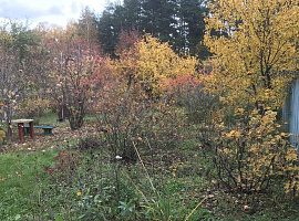 Участок 12 сот