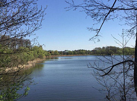 Дом, 230 кв.м на участке 8 сот