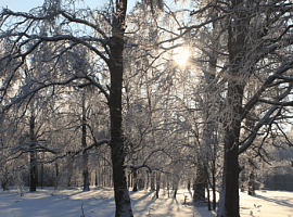 Коттеджный посёлок «Николино Парк»