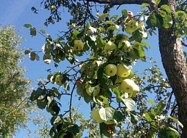 Дом, 75 кв.м на участке 6 сот