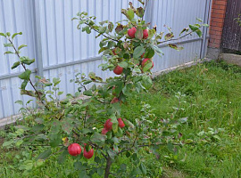 Дом, 100 кв.м на участке 18 сот