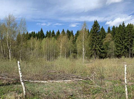 Участок 6 сот