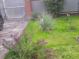 Дом, 50 кв.м на участке 2 сот