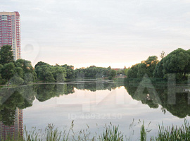 3-комн. квартира, 76.8/45/12