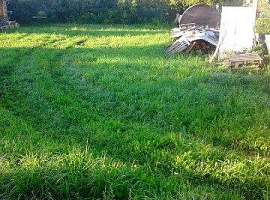 Участок 10 сот