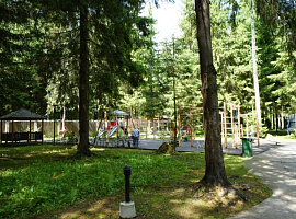 Коттеджный посёлок «Ваутутинки Luxury (Ваутутинки Лакшери)»