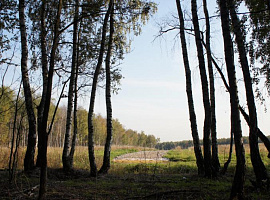 Коттеджный посёлок «Европейский Квартал» + ЗемлиМСК + novostroyrf.ru Коттеджный посёлок «Европейский Квартал»