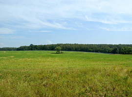 Коттеджный посёлок «Сиеста Южная»