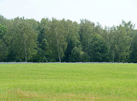 Коттеджный посёлок «Сиеста Южная»