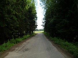 Коттеджный посёлок «Елизарово-Park (Елизарово-Парк)»