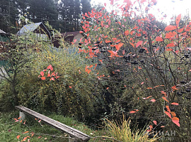 Участок 12 сот