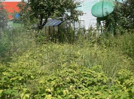 Дом, 45 кв.м на участке 11 сот