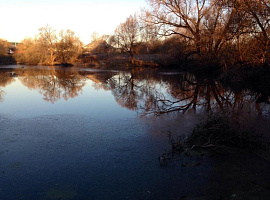 Коттеджный посёлок «Ширяевские Усадьбы»