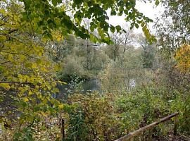 Дом, 300 кв.м на участке 18 сот