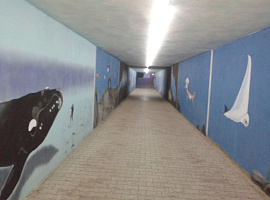 2-комн. квартира, 60/30/10