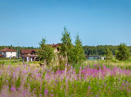 Коттеджный посёлок «Певчее»