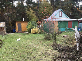 Участок 12 сот