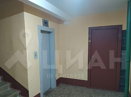 2-комн. квартира, 52/30/8 + novostroyrf.ru 2-комн. квартира, 52/30/8