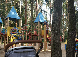 Дом, 66.1 кв.м на участке 10.31 сот