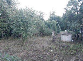 Участок 13 сот