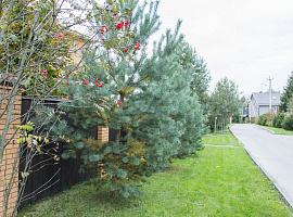 Коттеджный посёлок «Зимний сад»