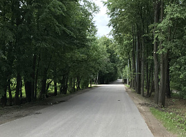 Коттеджный посёлок «Пушкино»