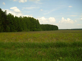 Коттеджный посёлок «Елизарово-Park (Елизарово-Парк)»